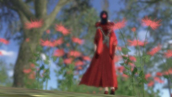 想深入学习网站后台技术，有哪些建议？